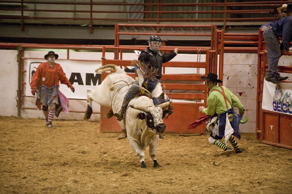 rodeo-646686_1280